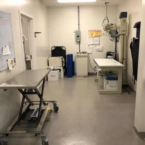 Treatment area with xray equipment
